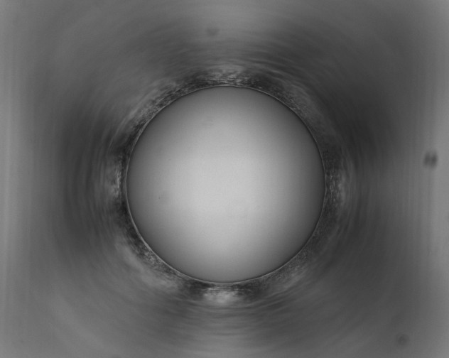 X0000111500602200907281253