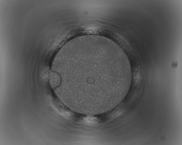 X0000111500603200907281253