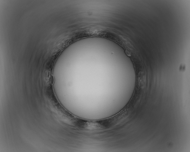 X0000111500605200907281253