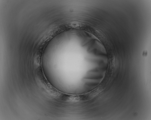 X0000111500606200907281253