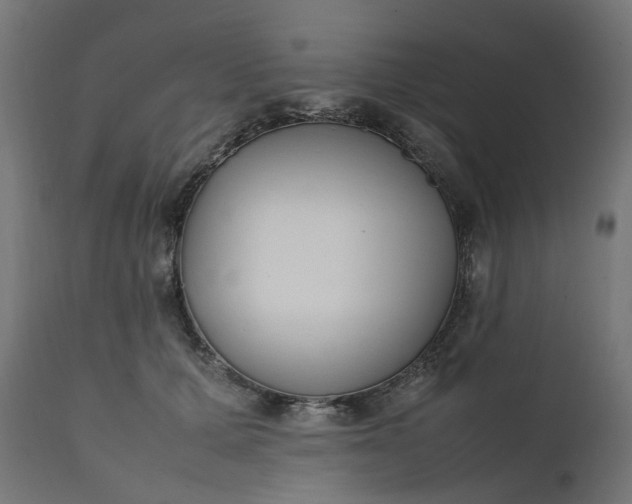 X0000111500607200907281253