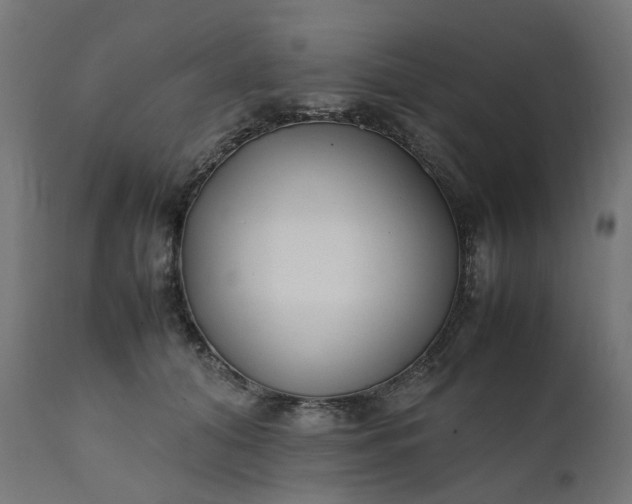 X0000111500608200907281253