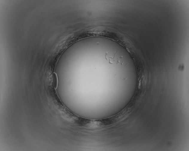 X0000111500609200907281253