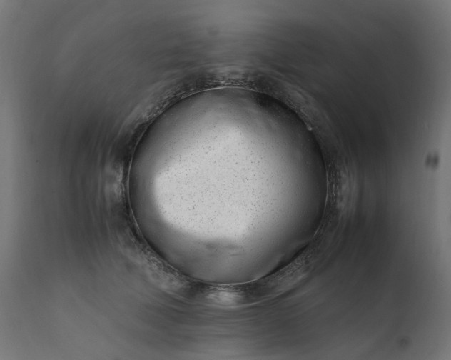 X0000111500610200907281253