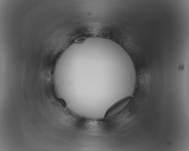 X0000111500611200907281253