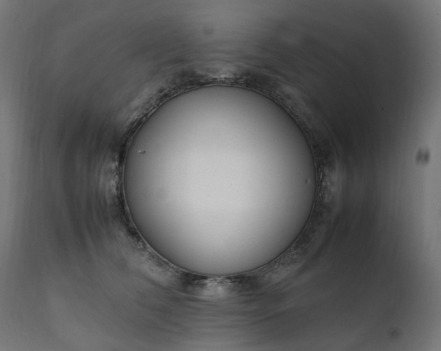 X0000111500612200907281253