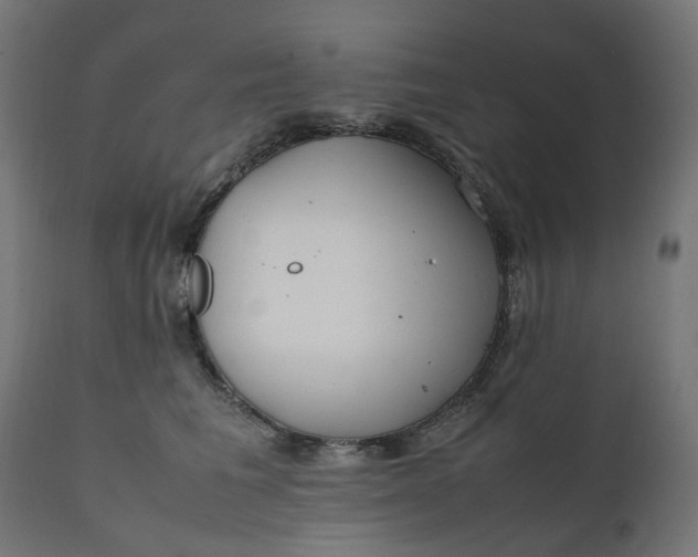 X0000111500613200907281253