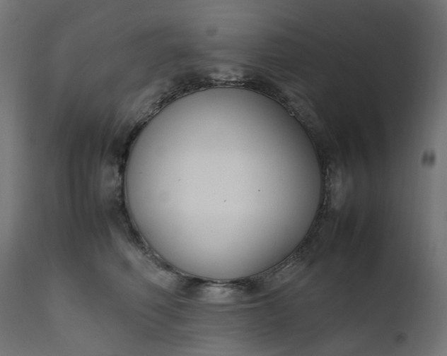 X0000111500614200907281253