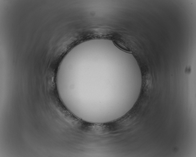 X0000111500615200907281253