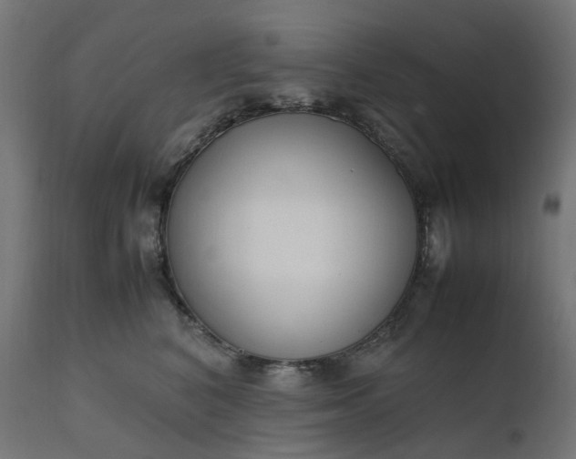 X0000111500616200907281253