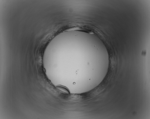 X0000111500617200907281253