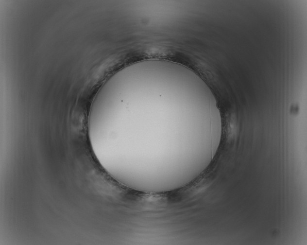 X0000111500619200907281253