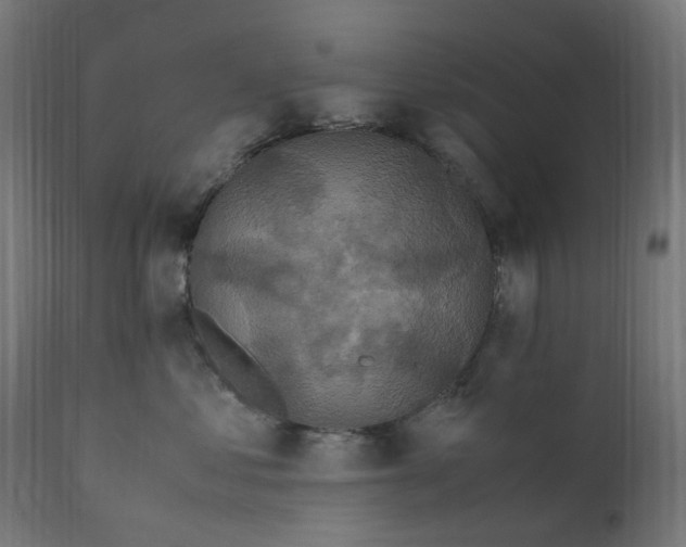 X0000111500621200907281253