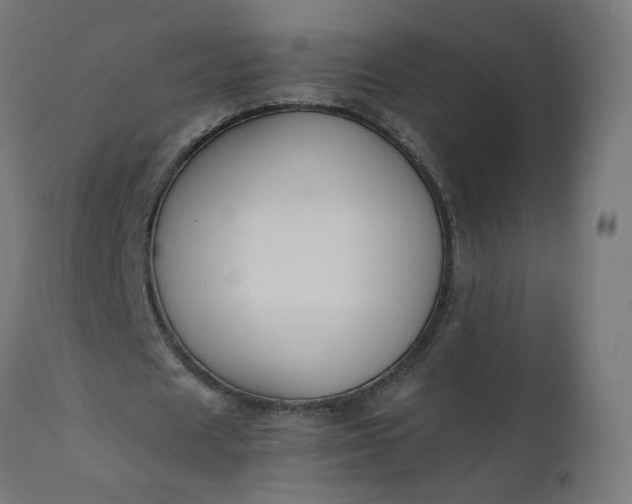 X0000111500625200907281252