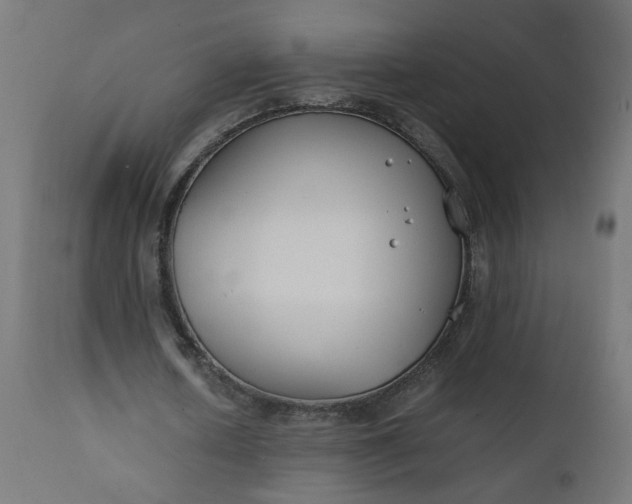 X0000111500626200907281252