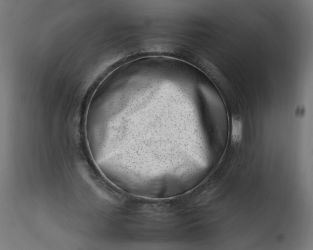 X0000111500627200907281252