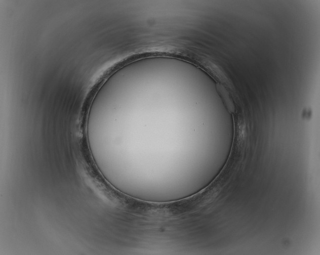 X0000111500628200907281252