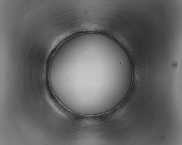 X0000111500630200907281252