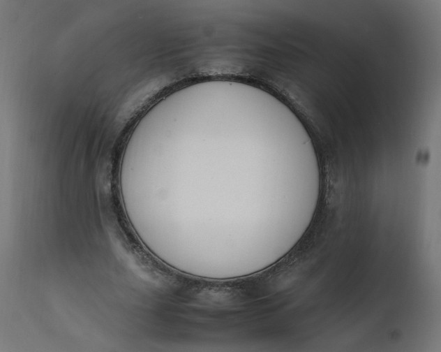 X0000111500631200907281252