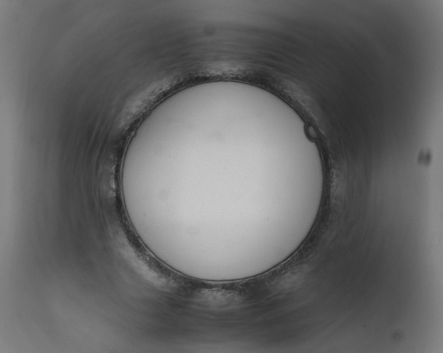 X0000111500633200907281252