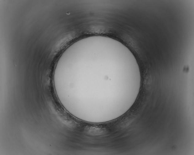 X0000111500635200907281252