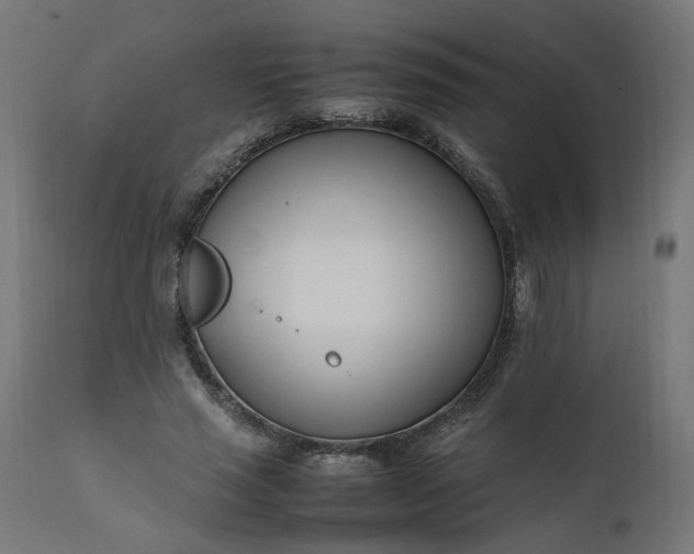 X0000111500637200907281252