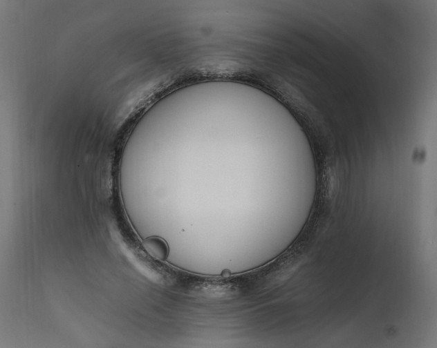 X0000111500638200907281252