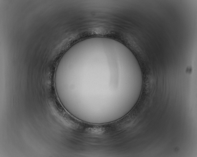 X0000111500639200907281252