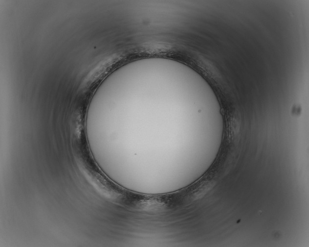 X0000111500644200907281252