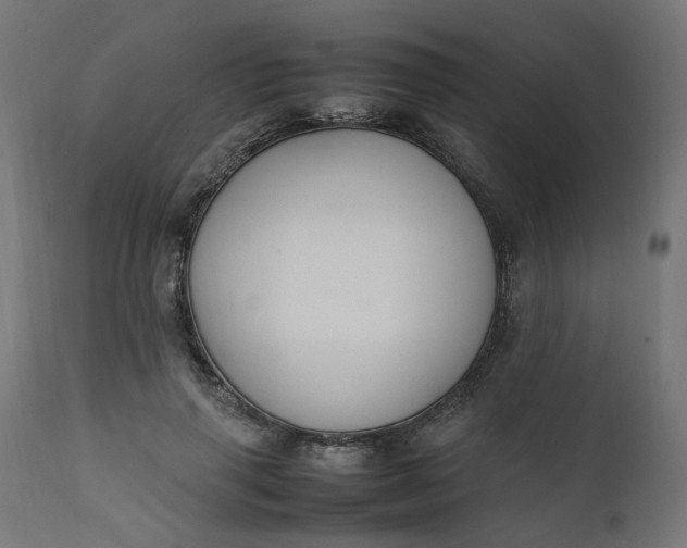 X0000111500645200907281252