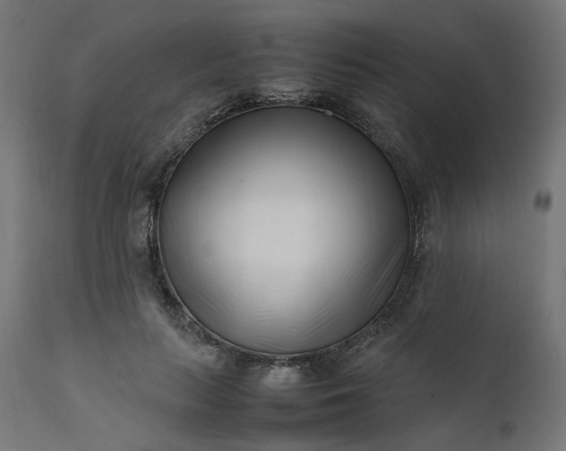 X0000111500647200907281252