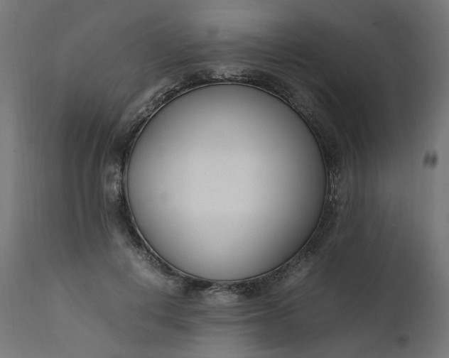 X0000111500648200907281252