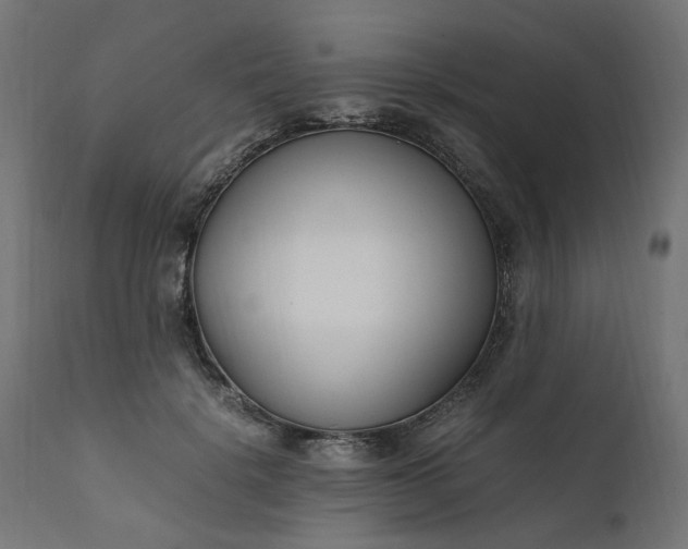 X0000111500652200907281252