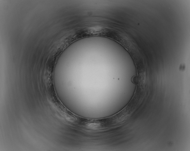 X0000111500653200907281252