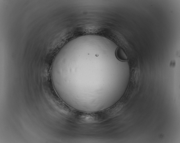 X0000111500655200907281252