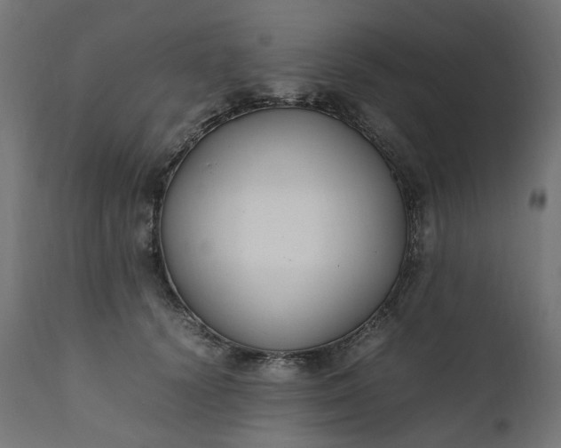 X0000111500656200907281252