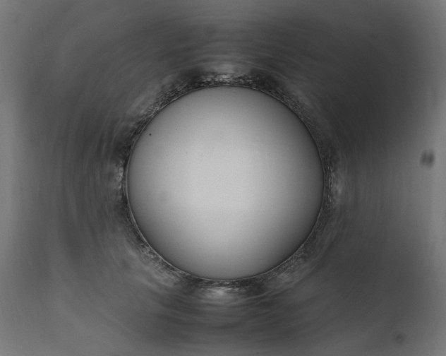 X0000111500657200907281252