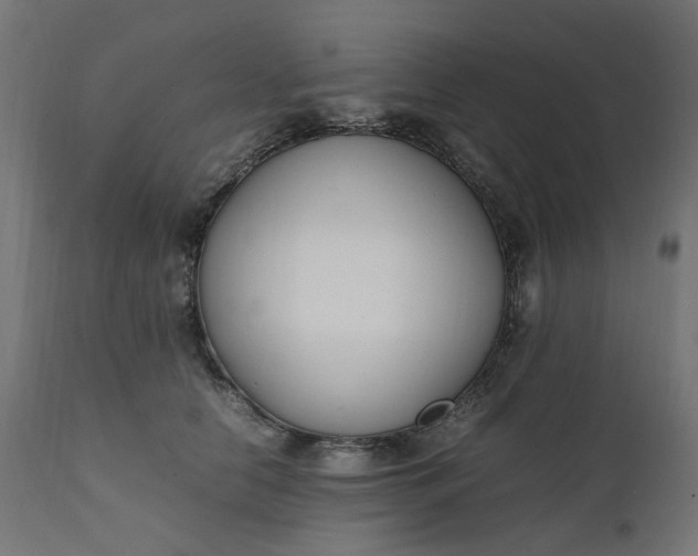 X0000111500658200907281252