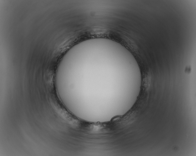 X0000111500662200907281252