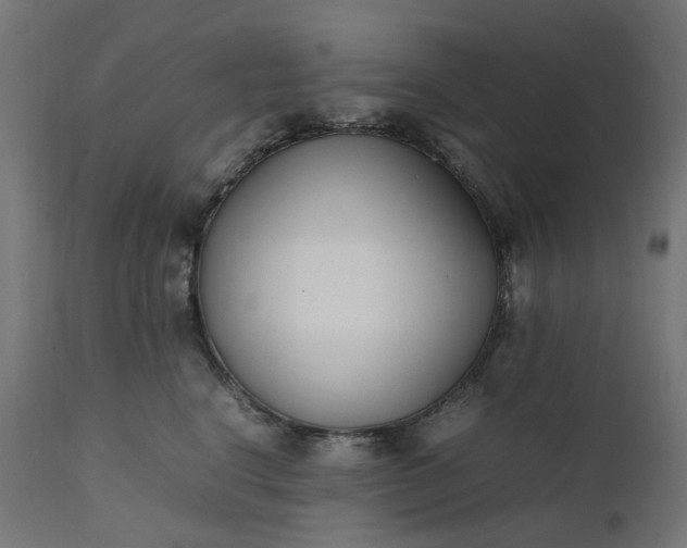 X0000111500664200907281252