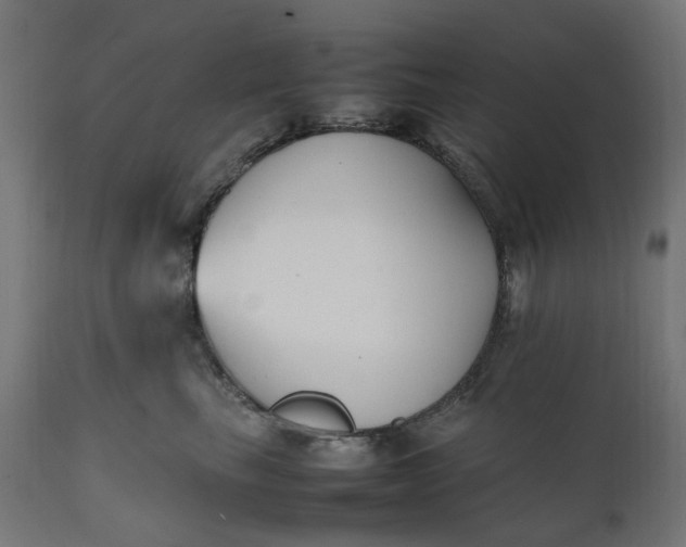 X0000111500665200907281252