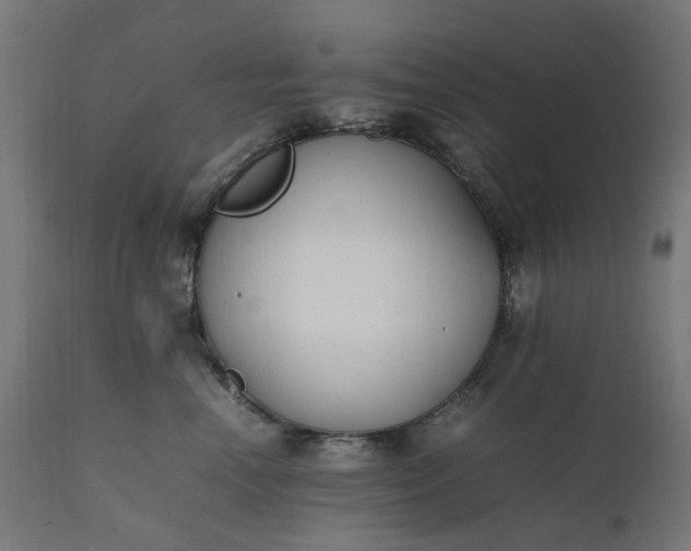 X0000111500666200907281252