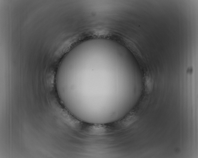 X0000111500668200907281252