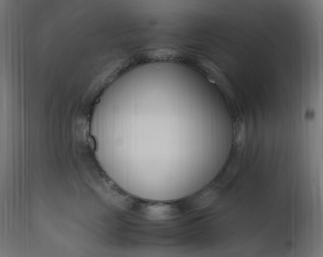 X0000111500669200907281252