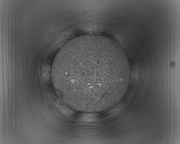 X0000111500671200907281252