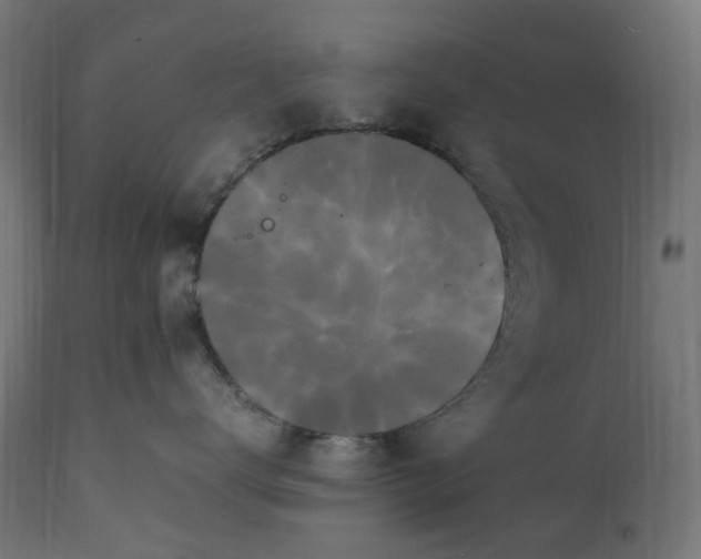 X0000111500672200907281252