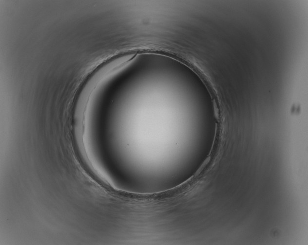 X0000111500673200907281252