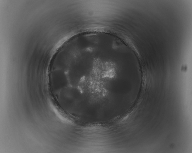 X0000111500674200907281252