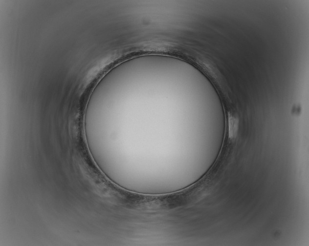 X0000111500675200907281252