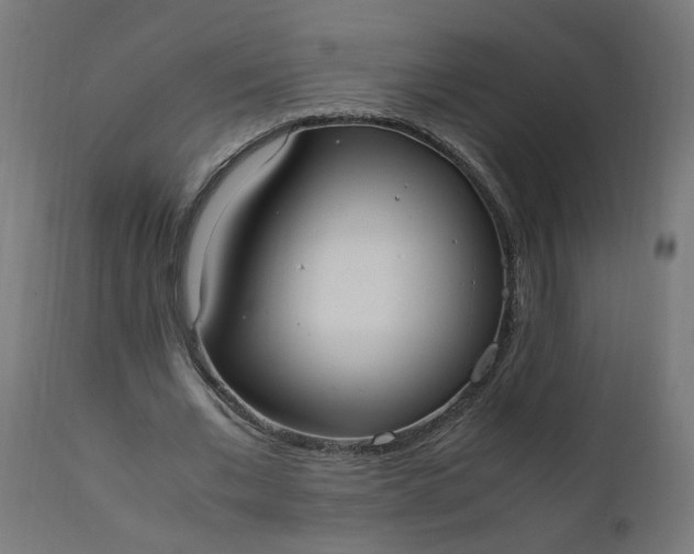 X0000111500677200907281252